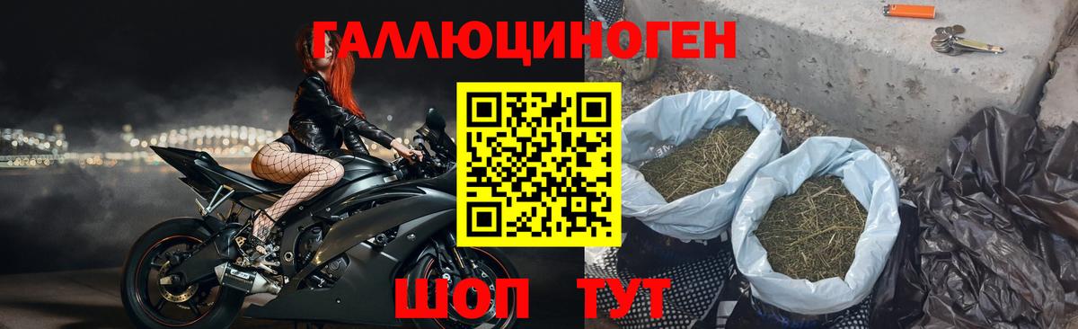 Псилоцибиновые грибы Magic Shrooms Чехов
